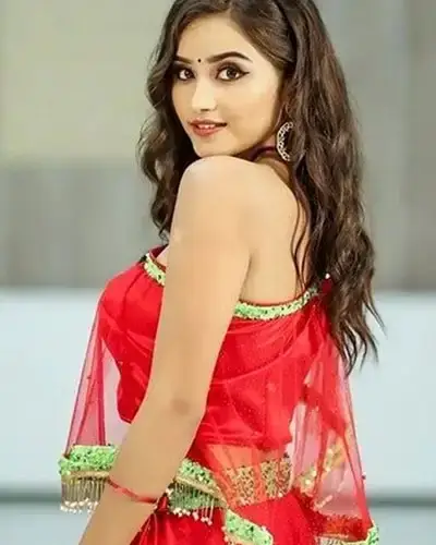 Call Girls Service Degana